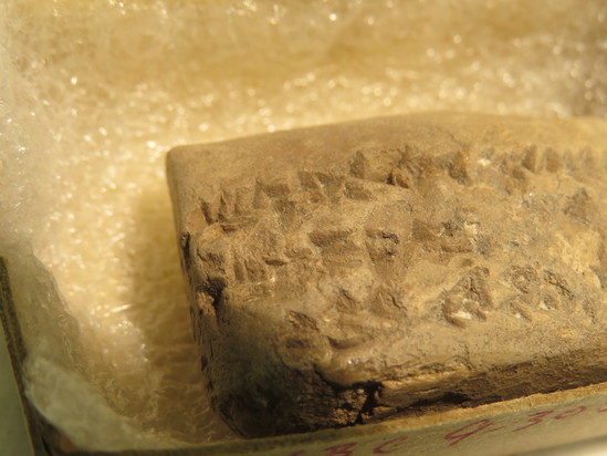Hearst Museum object 14 of 105 titled Cuneiform tablet, accession number 9-3052, described as Mesopotamian cuneiform tablet