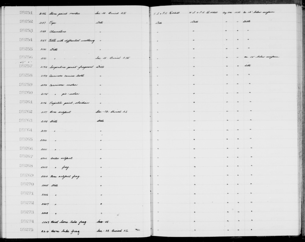 Documentation associated with Hearst Museum object titled Tooth, accession number 1-98258, described as Carnivore, canine