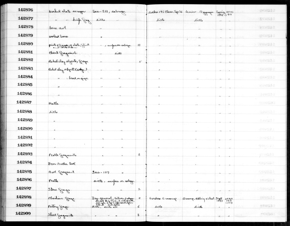 Documentation associated with Hearst Museum object titled Shell fragments, accession number 1-142900, described as Shell fragments.