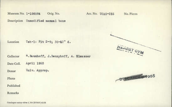 Documentation associated with Hearst Museum object titled Faunal remains, accession number 1-156084, described as Unmodified, mammal.