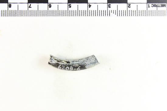 Hearst Museum object titled Bracelet fragment, accession number 9-8029, described as Glass bracelet frag.; opaque black, striated, curved rod; 26 x 5 mm.