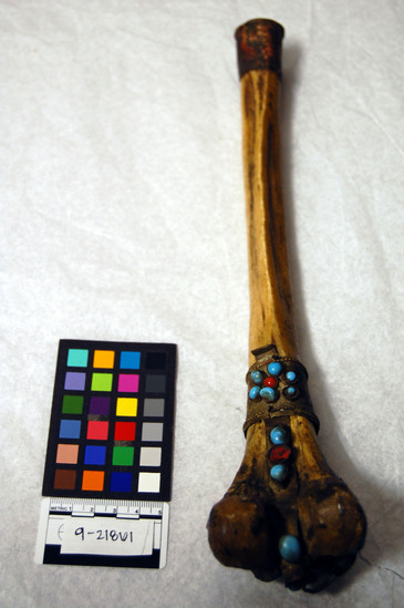 Hearst Museum object titled Thighbone trumpet, accession number 9-21861, described as Thighbone trumpet, fitted with brass at the mouthpiece and bell, and ornamented with turquoise and coral insets. This is a ritual trumpet fashioned from a human thigh bone.