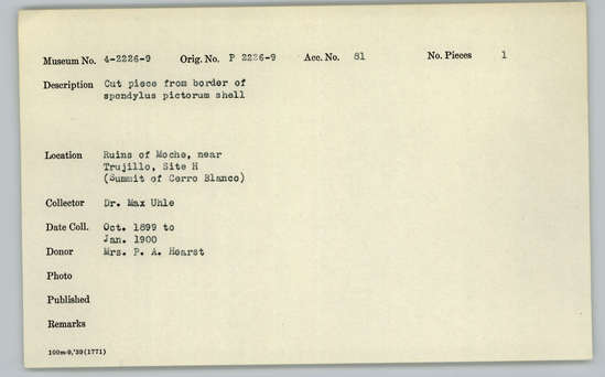 Documentation associated with Hearst Museum object titled Cut shell piece, accession number 4-2227, described as Cut piece from border of Spondylus pictorum shell.