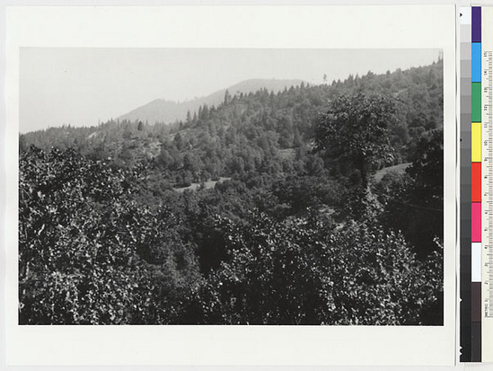 Hearst Museum object titled Black-and-white negative, accession number 15-12034, described as Mount Offield