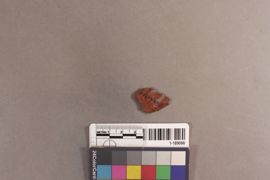 Hearst Museum object titled Projectile point fragment, accession number 1-189066, described as chert projectile point frag.; tip only