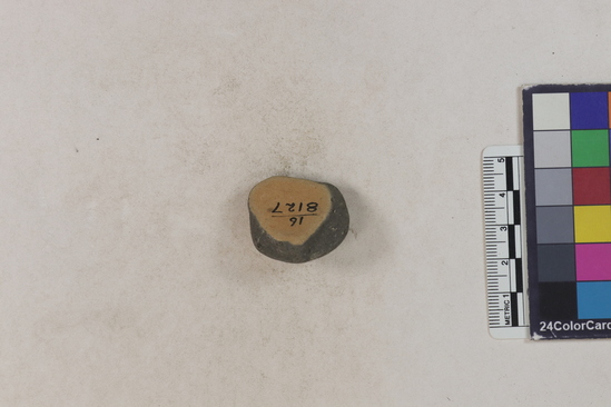 Hearst Museum object titled Potsherd, accession number 16-8127, described as Potsherd; Handle frag, drilled hole Section of Manta beach currently inhabited. Numbers  8111 to 8194 are sherds picked up on beach at low tide.