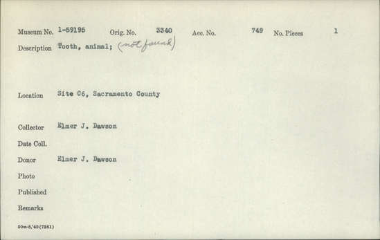 Documentation associated with Hearst Museum object titled Tooth, accession number 1-59195, described as Animal