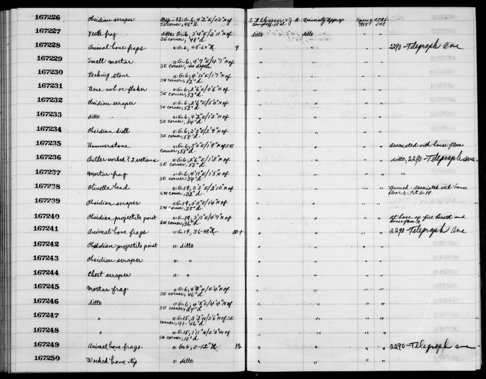 Documentation associated with Hearst Museum object titled Metatarsal frag, r, accession number 1-167241.3, no description available.