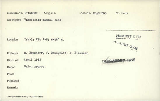 Documentation associated with Hearst Museum object titled Faunal remains, accession number 1-156087, described as Unmodified, mammal.