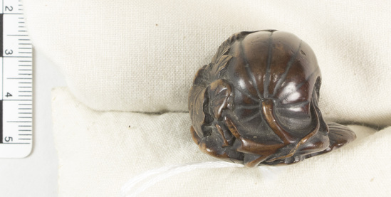 Hearst Museum object titled Netsuke, accession number 9-18858, described as Netsuke; Melon on vine, resting on leaf; rat peering out of open end of melon; H 2.6 cm X L 3.9 cm