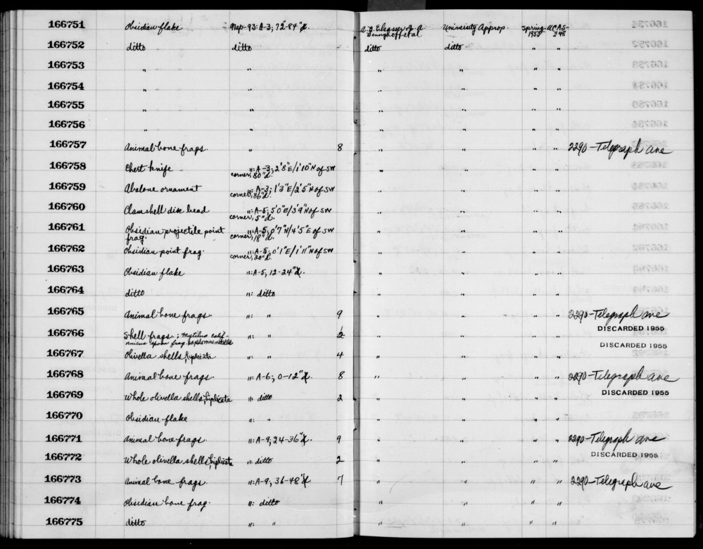 Documentation associated with Hearst Museum object titled Metatarsal frag, l, accession number 1-166765.6, no description available.