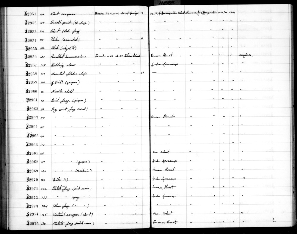 Documentation associated with Hearst Museum object titled Shell, accession number 2-32960, described as Olivella.