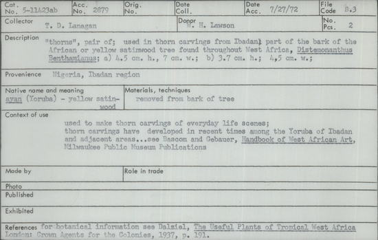 Documentation associated with Hearst Museum object titled Thorns, accession number 5-11423a,b, described as thorns", pair of;  used in thorn carvings from Ibadan;  part of the bark of the African or yellow satinwood tree found throughout West Africa, 'Distemonanthus Benthamianus';  a) 4.5 cm. h., 7 cm. w.;  b)  3.7 cm. h.;  4.5 cm. w.