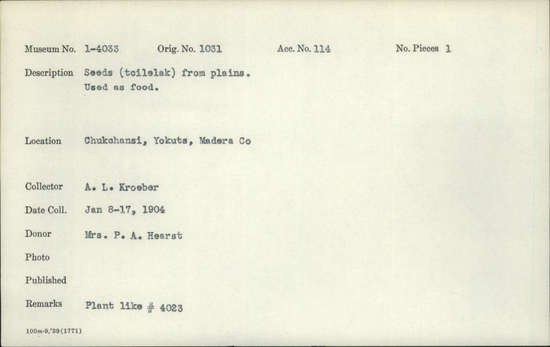 Documentation associated with Hearst Museum object titled Ethnobotanical sample, accession number 1-4033, described as Specimen, ethnobotanical; seeds, unspecified, plant “like 1-4023, from plains”. The main component of the specimen consists of seeds of Lepidium nitidum Nutt., shining pepperweed, Brassicaceae. Other items found and placed in gelatin capsules: 1 nutlet of Amsinckia sp., fiddleneck, Boraginaceae. 1 nutlet of Plagiobothrys [possibly Plagiobothrys nothofulvus (A. Gray) A. Gray, rusty popcornflower], Boraginaceae