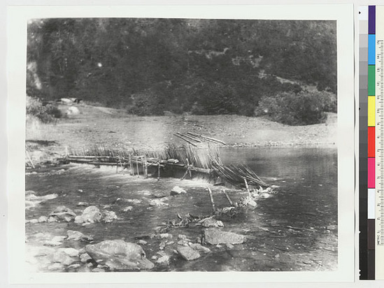 Hearst Museum object titled Black-and-white negative, accession number 15-2926, described as Fish dam