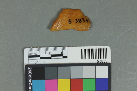 Hearst Museum object titled Flake, accession number 5-3885, described as Chert chip, ‘rolled”