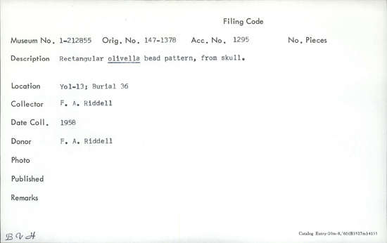 Documentation associated with Hearst Museum object titled Bead pattern, accession number 1-212855, described as Rectangular olivella bead pattern.