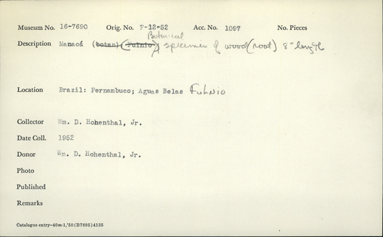 Documentation associated with Hearst Museum object titled Wood fragment, accession number 16-7690, described as Botanical specimen of wood (root)  length 8 inches