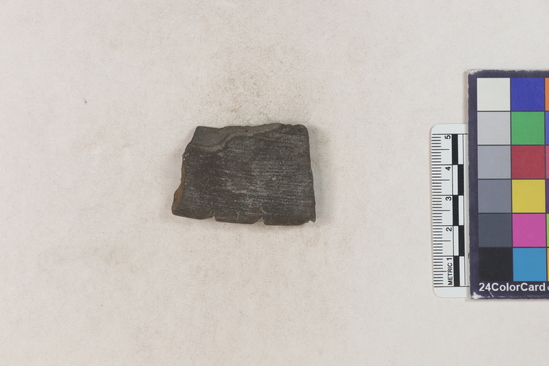 Hearst Museum object titled Potsherd, accession number 16-8117, described as Potsherd: rim with deep incisions or notches forming design. Section of Manta on Beach currently inhabited. Numbers  8111 to 8194 are sherds picked up on beach at low tide.