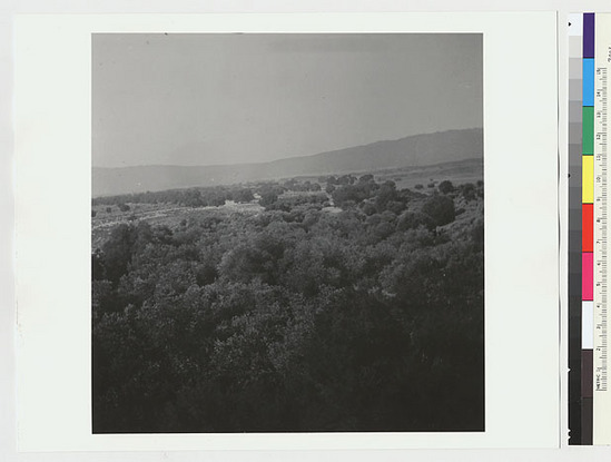 Hearst Museum object titled Black-and-white negative, accession number 15-4227, described as View south over Warner's Ranch from the old Indian village at Porta Cruz