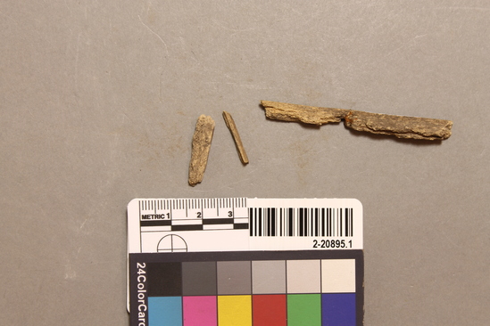 Hearst Museum object titled Bone implement fragment, accession number 2-20895.1, described as Swordfish sword, worked