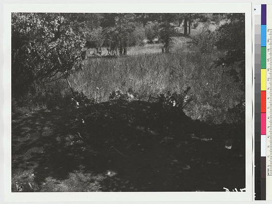 Hearst Museum object titled Black-and-white negative, accession number 15-2746, described as Leaching and cooking ground near the lake shore, east of the village, at Railroad Flat; looking westward (another view of the acorn leaching shown in 15-2744)