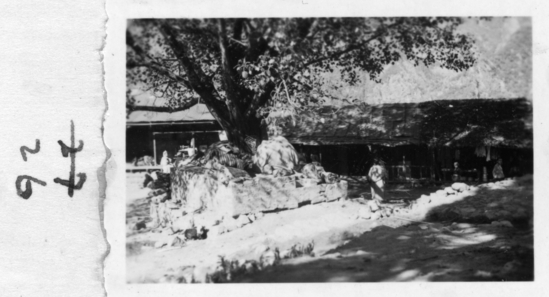 Hearst Museum object titled Black-and-white negative, accession number 15-27981, no description available.