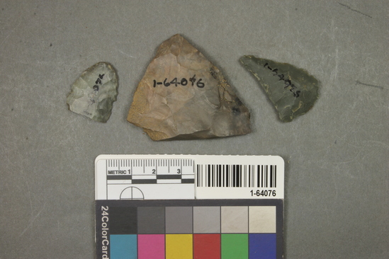 Hearst Museum object titled Point fragments, accession number 1-64076, described as Chert