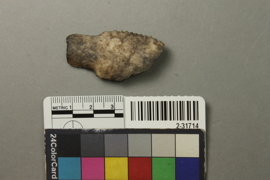 Hearst Museum object titled Point fragment, accession number 2-31714, described as Chert.