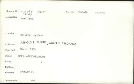 Documentation associated with Hearst Museum object titled Mano fragment, accession number 1-122442, described as Mano fragment.