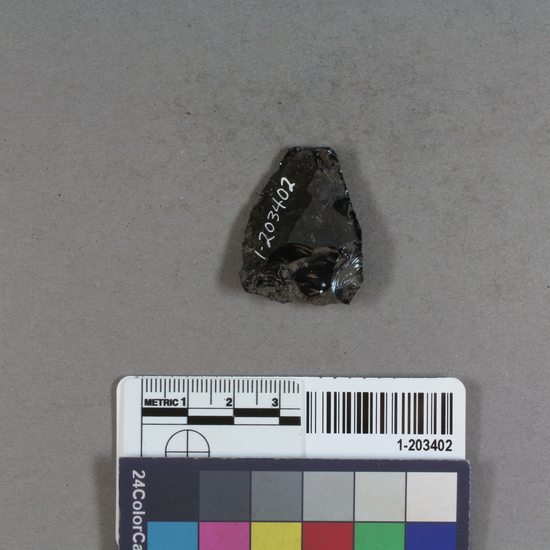 Hearst Museum object titled Projectile point fragment, accession number 1-203402, described as Obsidian.