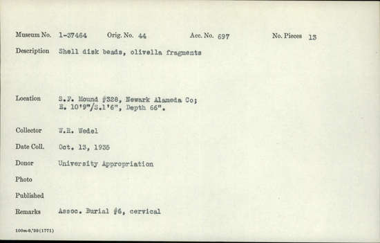 Documentation associated with Hearst Museum object titled Bead, accession number 1-37464, described as Shell disk beads and olivella fragments.