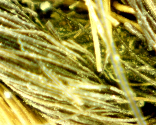 Hearst Museum object 59 of 72 titled Sling, accession number 4-5094, no description available.