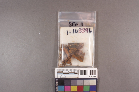 Hearst Museum object titled Cork fragments, accession number 1-103396, described as Cork fragments