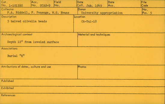 Documentation associated with Hearst Museum object titled Beads, accession number 1-101392, described as Halved olivella. Notice: Image restricted due to its potentially sensitive nature. Contact Museum to request access.