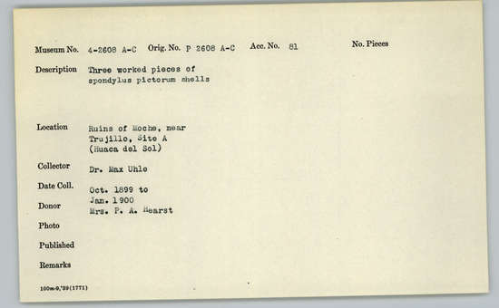 Documentation associated with Hearst Museum object titled Worked shell, accession number 4-2608b, described as Three worked pieces of spondylus pictorum shells.