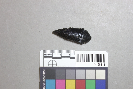 Hearst Museum object titled Point, accession number 1-158814, described as Serrated, round base, black obsidian