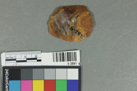 Hearst Museum object titled Flake, accession number 5-3891, described as Chert primary flake