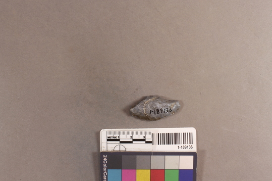 Hearst Museum object titled Projectile point blank, accession number 1-189136, described as chert projectile point blank; l. 4.0cm