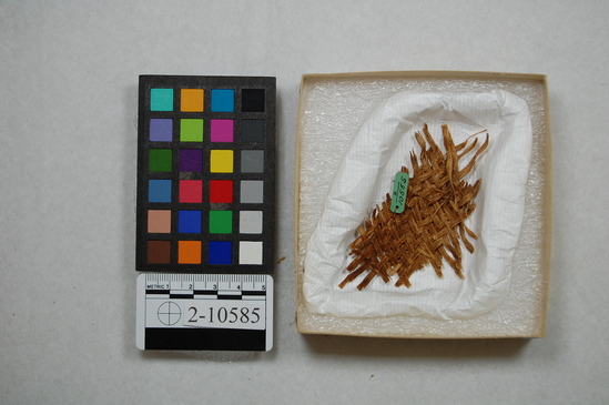 Hearst Museum object titled Basket fragment, accession number 2-10585, described as Very small fragment of twilled basketry.