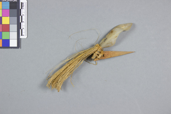 Hearst Museum object titled Fishhook and fishing lure, accession number 11-603, described as Pearl fish-hook; fibre beard, dyed yellow.