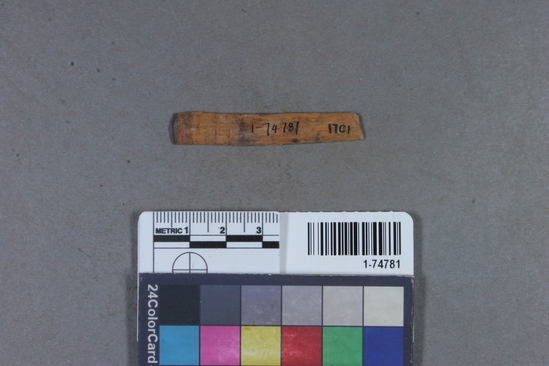 Arrow shaft fragment