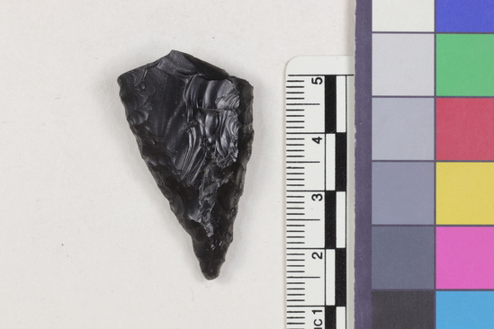 Hearst Museum object 2 of 2 titled Flake fragment, accession number 16-14390, described as Projectile point fragment; obsidian; triangular; weight: 6.68 grams; length: 4.05 cm; width: 2.46 cm; depth: 0.76 cm; convex sides; broken base.