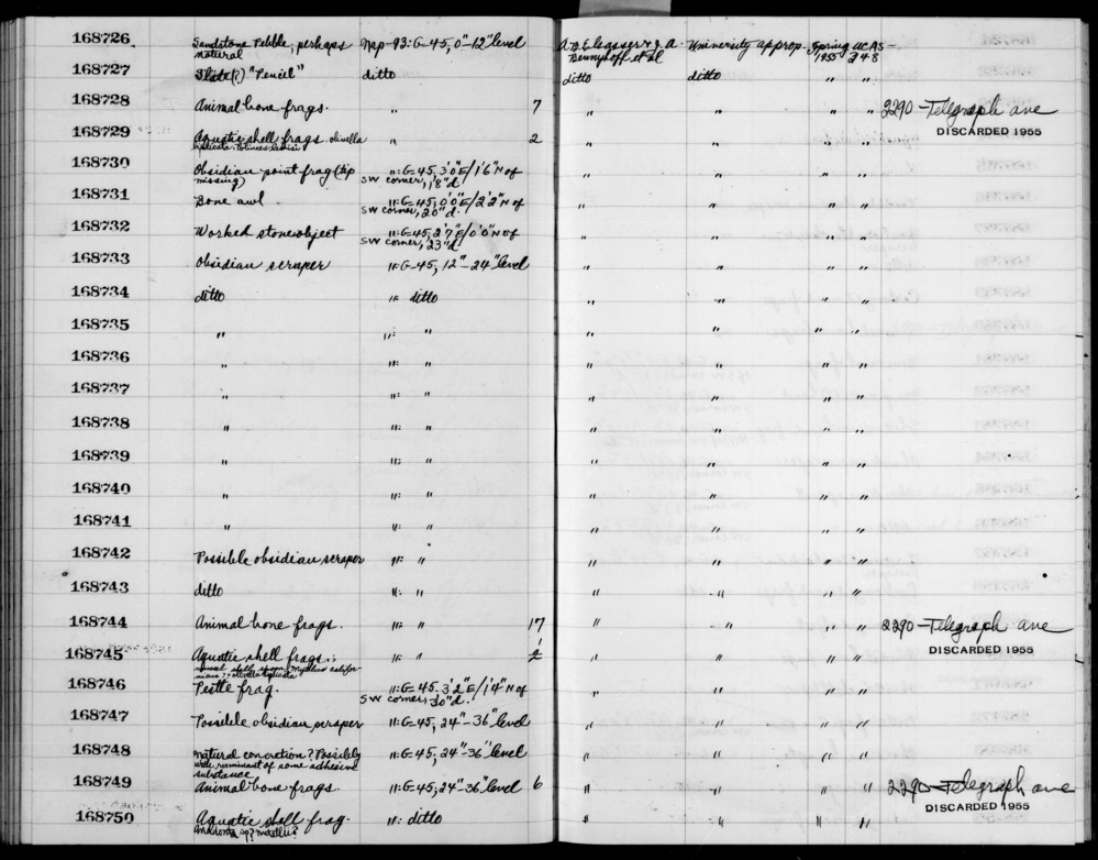 Documentation associated with Hearst Museum object titled Shell fragment, accession number 1-168750, described as Aquatic; "Anadonta sp? (prob. nuttallii)" added in pencil.