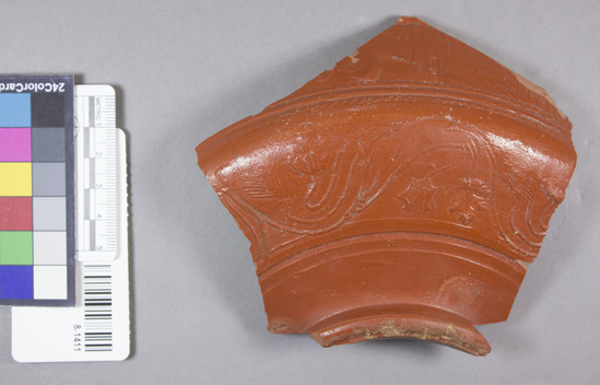 Hearst Museum object titled Plate fragment, accession number 8-1411, described as Red Aretine side