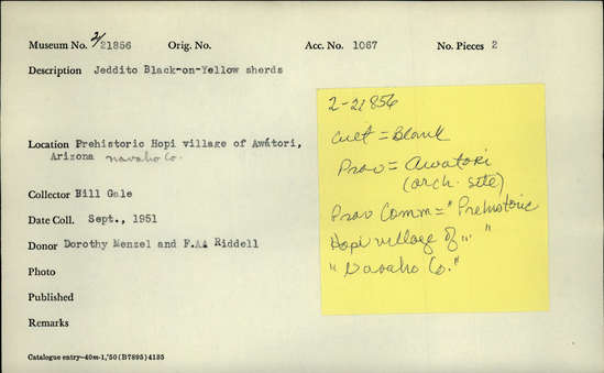 Documentation associated with Hearst Museum object titled Potsherds, accession number 2-21856, described as Jeddito Black-on-Yellow sherds.