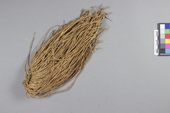 Hearst Museum object titled Bundle of twine, accession number 5-9890, described as Head band; string; twisted strands hung from sinew cord; several copper rings on end; smeared with fat; approx l. 22 cm.