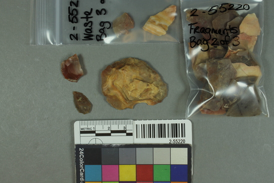 Hearst Museum object titled Flakes, accession number 2-55220, described as 3 bags chert debris