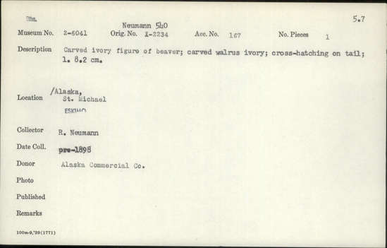 Documentation associated with Hearst Museum object titled Zoomorph, accession number 2-6041, described as Carved ivory figure of beaver.  Carved of walrus ivory.  Cross-hatching on tail.