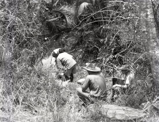 Hearst Museum object titled Black and white negative, accession number 15-32207, described as 4" x 5" Negative. Two men with rifles while two other men fill up watering cans.